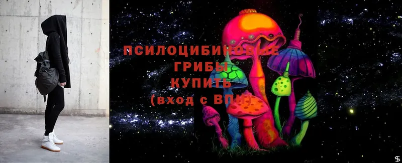 Галлюциногенные грибы MAGIC MUSHROOMS  что такое наркотик  Горняк 